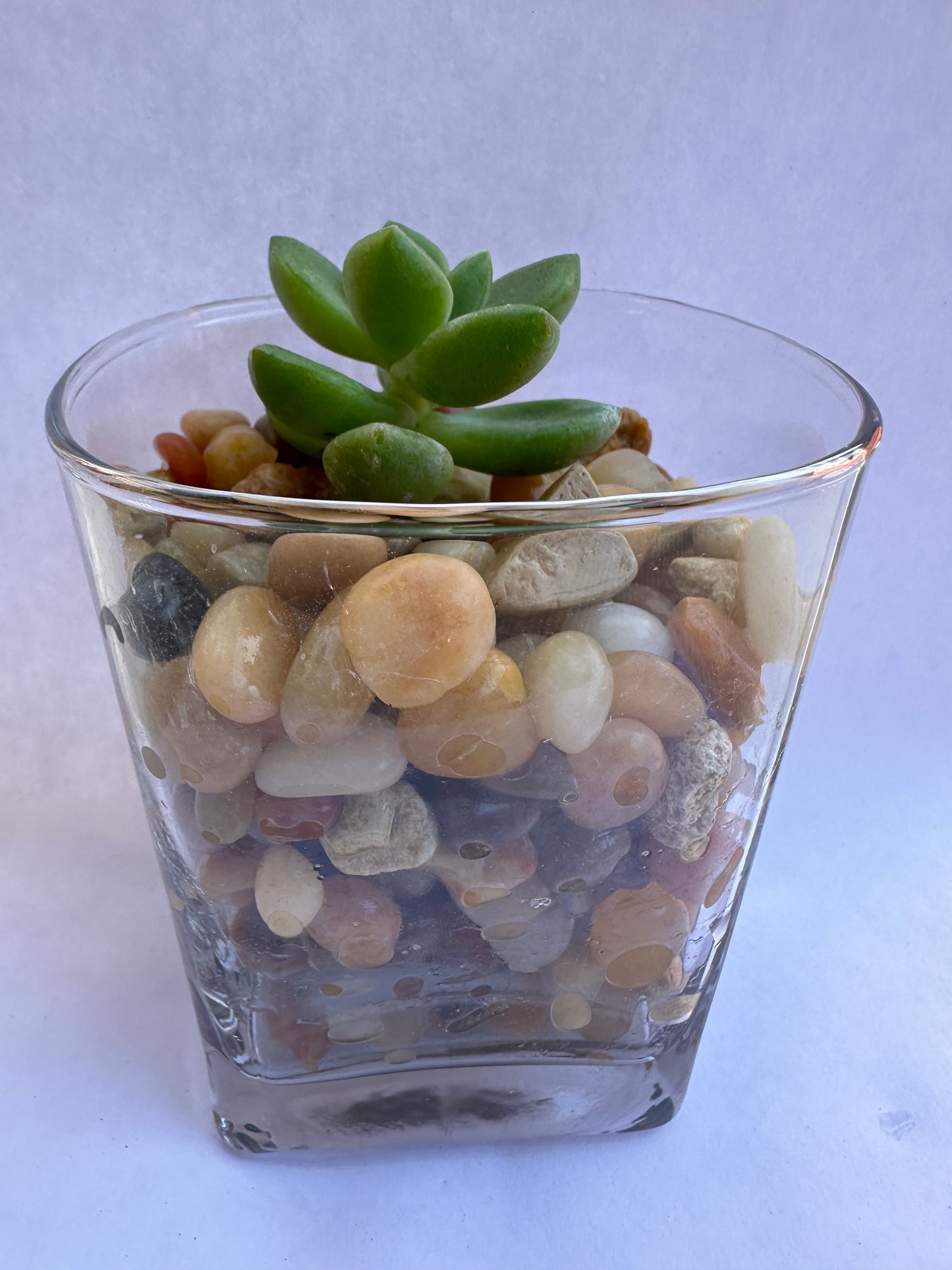 Natural Polished Stone/Rocks-SEAH