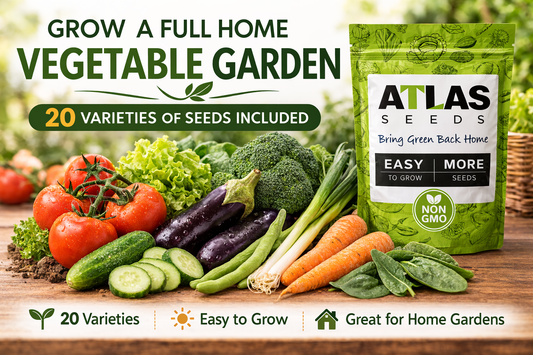 20 Vegetable Seeds Variety Pack – 21,600+ Non-GMO Heirloom Garden Seeds, Individual Packets for Indoor, Outdoor & Hydroponic Planting for indoor, outdoor and hydroponic planting