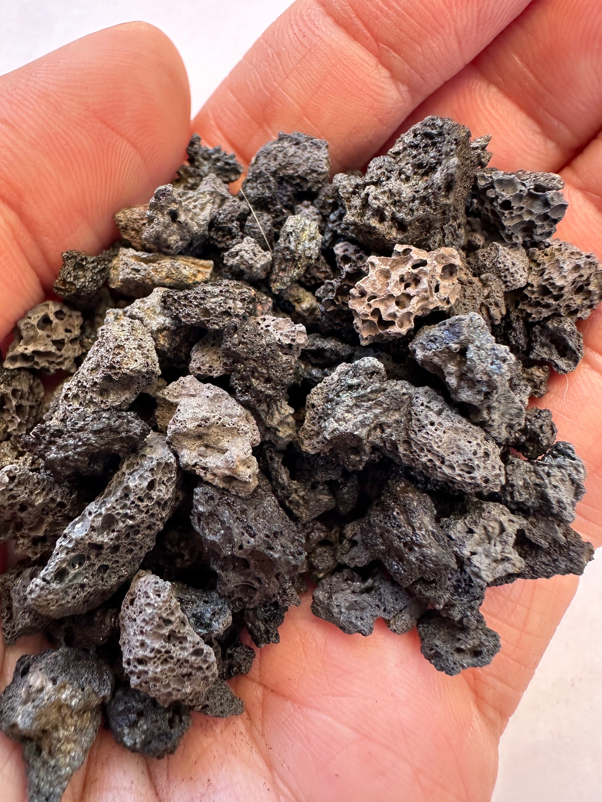 succulents lava rock Natural Volcanic Lava Rock - Brown | Succulent Top Dressing