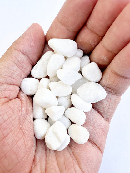 Snow White Pebbles-SEAH