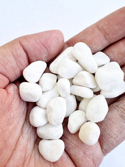 Snow White Pebbles-SEAH
