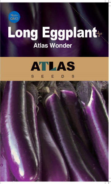 Berenjena Larga -Atlas Wonder