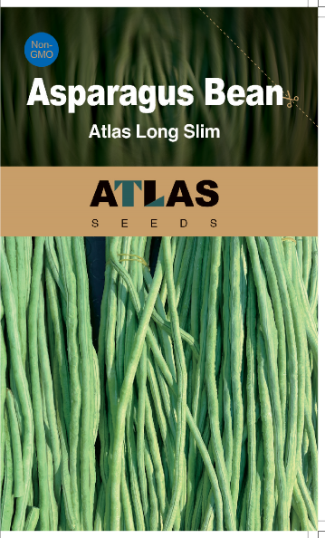 Frijol Espárrago -Atlas Long Slim