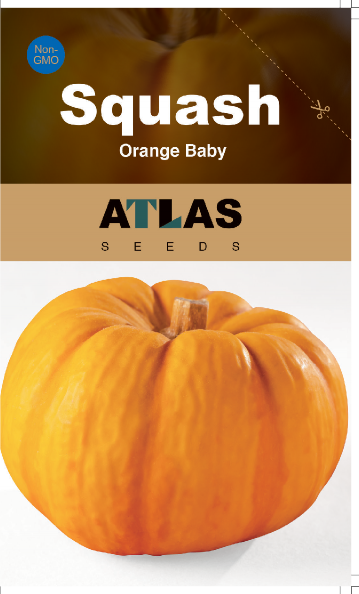 Calabaza -Naranja Bebé