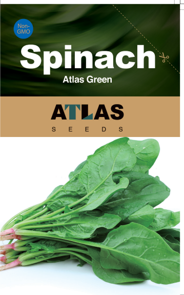 Spinach -Atlas Green