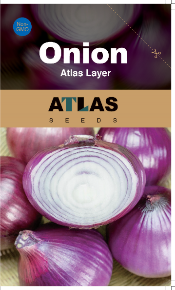 Onion -Atlas Layer
