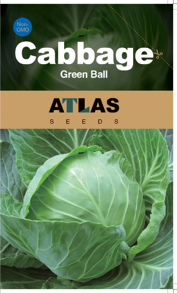 Cabbage -Green Ball