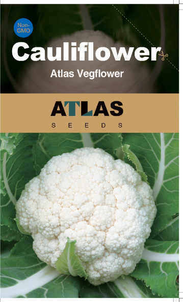 Coliflor -Atlas Vegflower