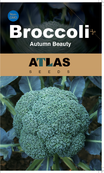 Brócoli: belleza otoñal