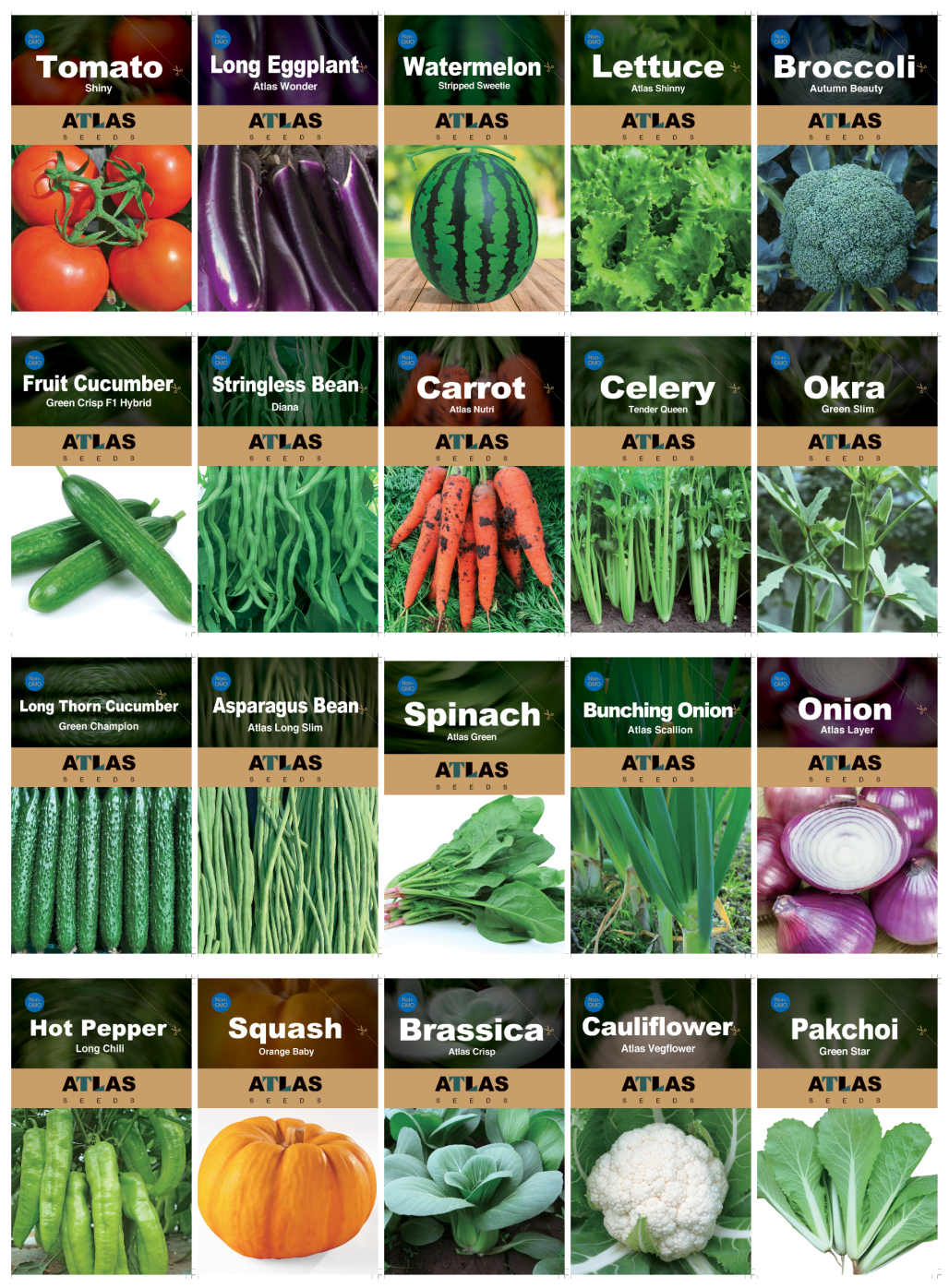 20 Vegetable Seeds Variety Pack – 21,600+ Non-GMO Heirloom Garden Seeds, Individual Packets for Indoor, Outdoor & Hydroponic Planting for indoor, outdoor and hydroponic planting