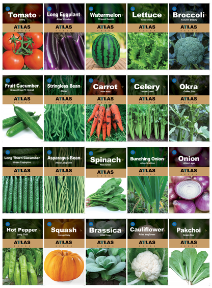 20 Vegetable Seeds Variety Pack – 21,600+ Non-GMO Heirloom Garden Seeds, Individual Packets for Indoor, Outdoor & Hydroponic Planting for indoor, outdoor and hydroponic planting